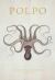 Polpo : A Venetian Cookbook (of Sorts)