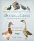 The Illustrated Guide to Ducks and Geese and Other Domestic Fowl : How to Choose Them. How to Keep Them