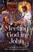 Meeting God in John : A Companion for Lent, Holy Week, Easter and Beyond
