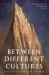 Between Different Cultures : Essays in Conversation with the Work of Yang Huilin