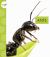Ants