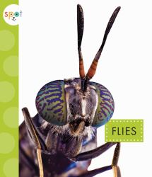 Flies