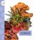 Corals