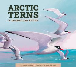Arctic Terns : A Migration Story