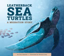 Leatherback Sea Turtles : A Migration Story
