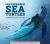 Leatherback Sea Turtles : A Migration Story