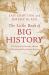 The Little Book of Big History