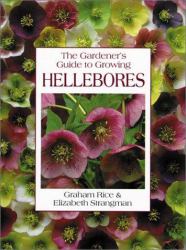 Hellebores