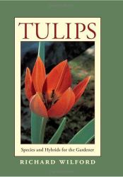 Tulips : Species and Hybrids for the Gardener
