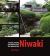 Niwaki : Pruning, Training and Shaping Trees the Japanese Way