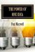 The Power of One Idea : 31 Inspiring Stories of How Ordinary People Achieved Extra-Ordinary Financial Success from an Idea