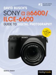 David Busch's Sony Alpha A6600/ILCE-6600 Guide to Digital Photography