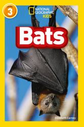 Bats : Level 3