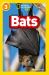Bats : Level 3