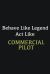 Behave Like Legend Act Like Commercial Pilot : Writing Careers Journals and Notebook. a Way Towards Enhancement