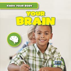 Your Brain