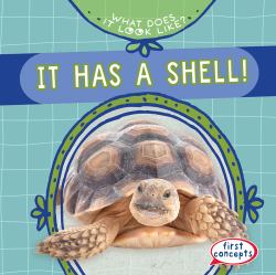 It Has a Shell!