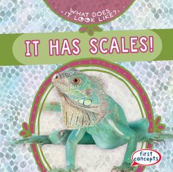 It Has Scales!