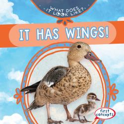 It Has Wings!