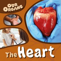 The Heart