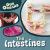 The Intestines