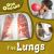 The Lungs The Lungs