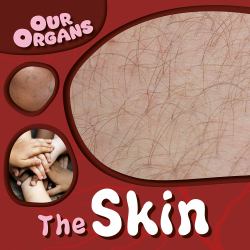 The Skin