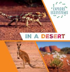 In a Desert