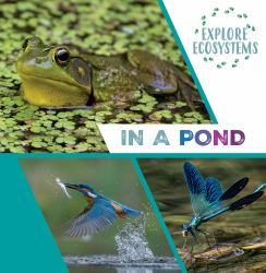 In a Pond