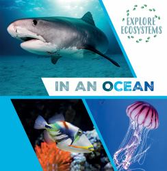 In an Ocean