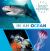 In an Ocean