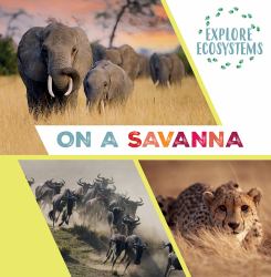 On a Savanna