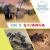 On a Savanna On a Savanna