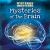 Mysteries of the Brain
