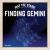 Finding Gemini Finding Gemini