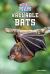 Valuable Bats Valuable Bats