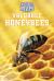 Valuable Honeybees Valuable Honeybees