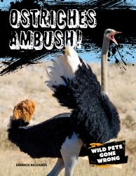 Ostriches Ambush!
