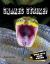 Snakes Strike! Snakes Strike!