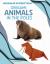 Origami Animals in the Poles Origami Animals in the Poles