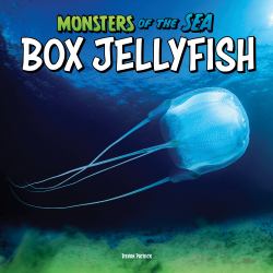 Box Jellyfish