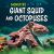 Giant Squid and Octopuses Giant Squid and Octopuses