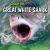 Great White Shark Great White Shark