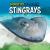 Stingrays