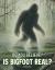 Is Bigfoot Real? Is Bigfoot Real?