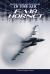 F/a-18 Hornet F/a-18 Hornet