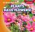 Plants Have Flowers! Plants Have Flowers!