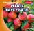Plants Have Fruits! Plants Have Fruits!