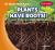 Plants Have Roots! Plants Have Roots!