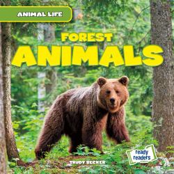 Forest Animals